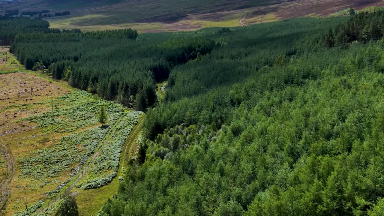 Drone glides above green forest, river, and meadow under bright daylight in Highlands, Scotland