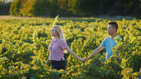 Joven-Pareja-De-Enamorados-Paseando-Por-El-Viñedo-Concepto-De-Turismo-Y-Cata-De-Vinos