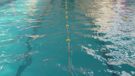 view capturing an empy swimming pool with gently moving water after a training session during the day