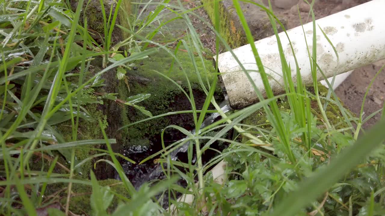 el agua de lluvia fluye desde la bajante de pvc hacia el canal de hormigón cubierto de musgo