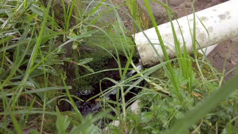 rainwater flows from pvc downspout into mossy concrete channel