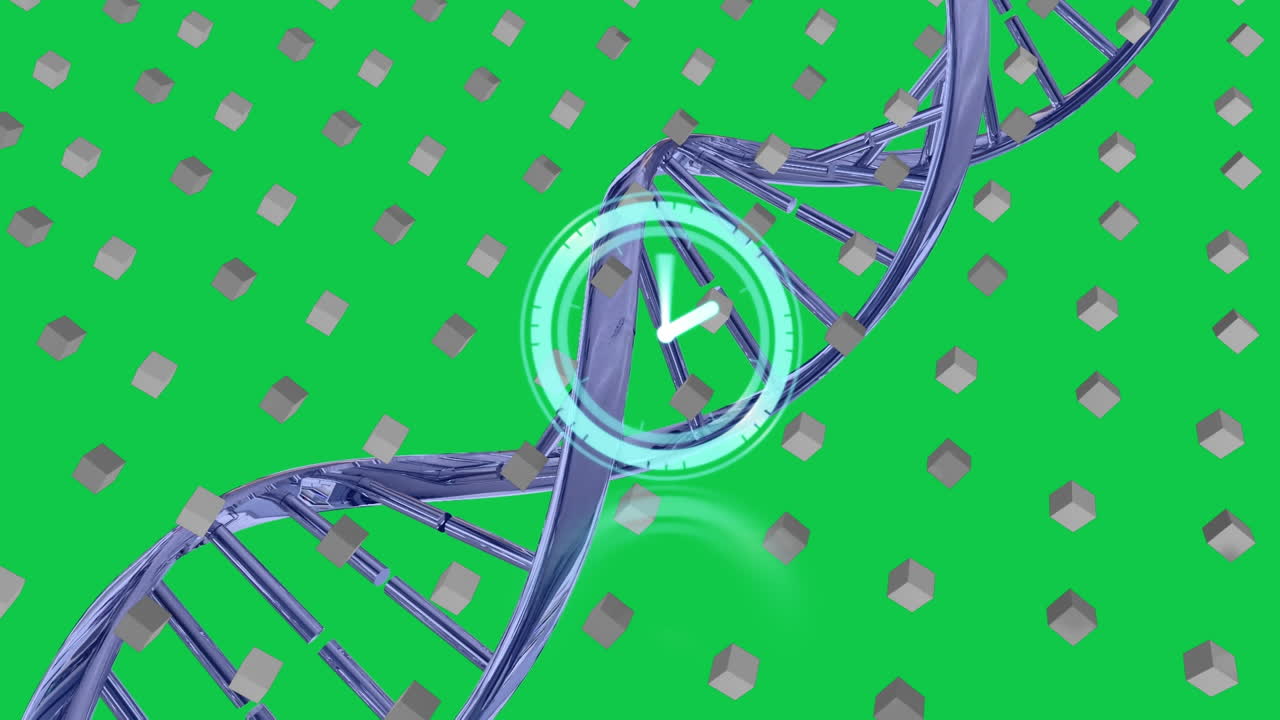 animación del reloj sobre la cadena de adn