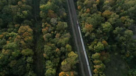 Railroad cuts through dense autumn forest with vibrant foliage from an aerial perspective