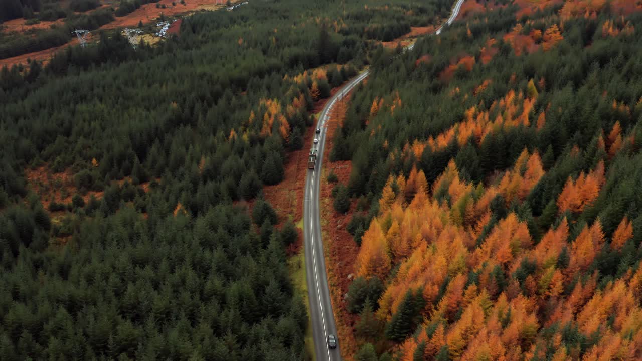 Aerial view of cars driving through pine forest in the Wicklow Mountains during vibrant autumn foliage season