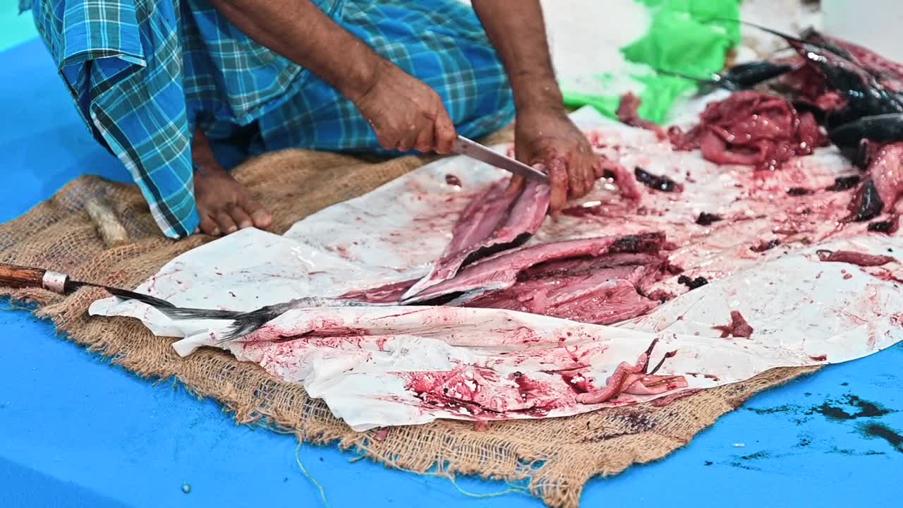 un pescatore arabo ha tagliato il tonno per conservarlo e conservarlo