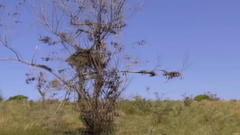 Un-Típico-Paisaje-Costero-Salvaje-En-Sudáfrica