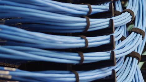 Close-uprack-focus-on-rows-of-blue-networking-cables-hooked-onto-a-server-rack