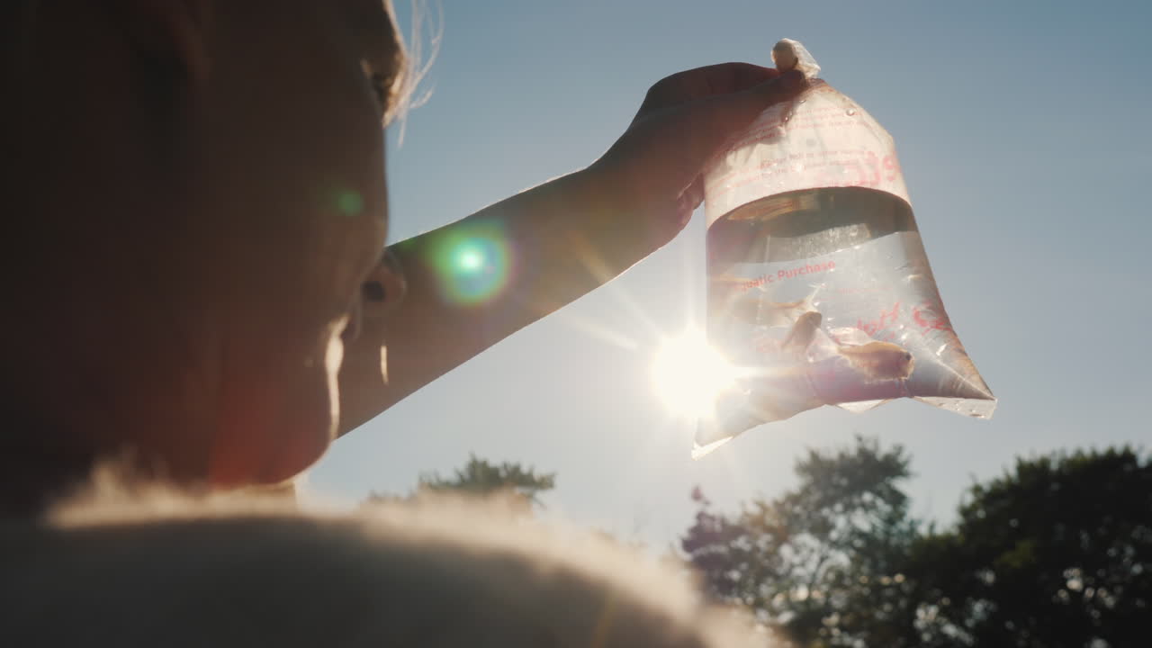 구매자는 수족관 물고기가 있는 패키지를 봅니다.