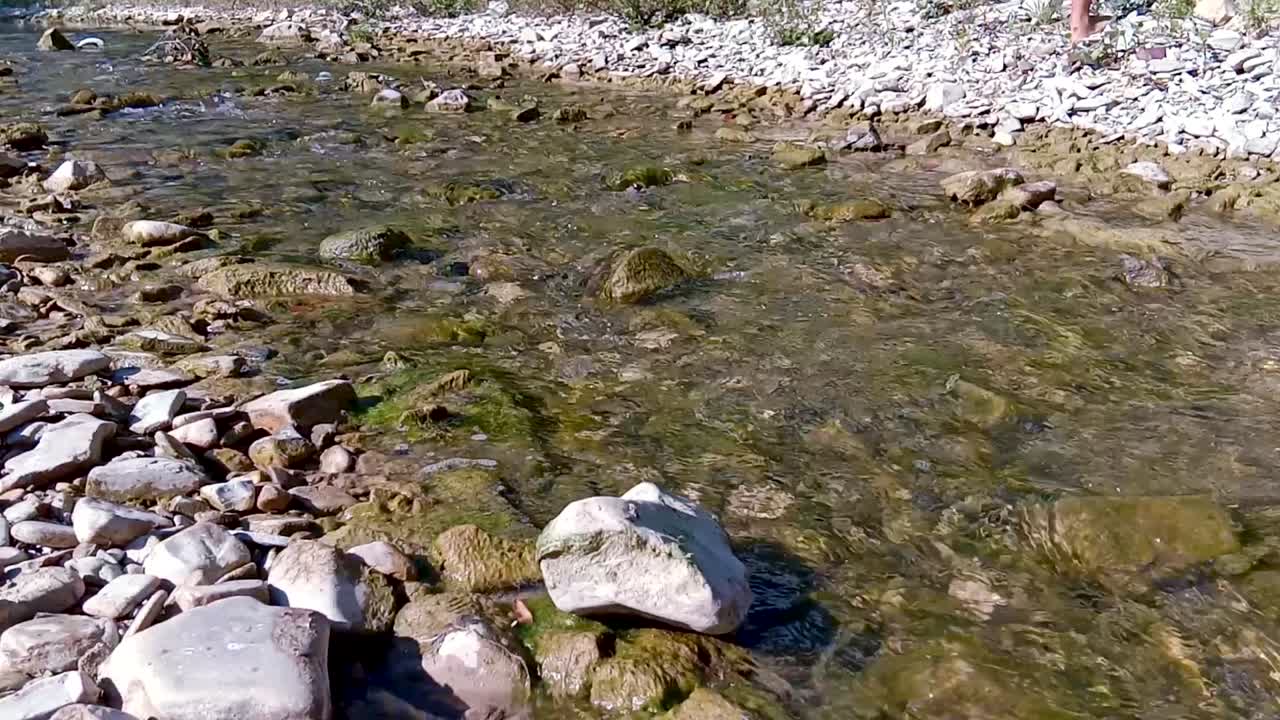 Person Walking Through a Shallow Creek