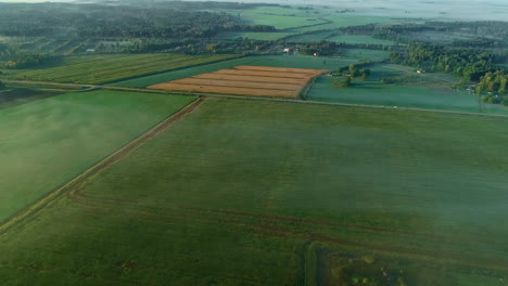 amplia vista aérea de vastos campos agrícolas con cultivos orgánicos envueltos en niebla matutina