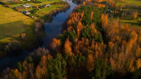 drone shot of dense, vibrant and colorful autumn woods in a small rural village on the shore of lesse river, belgium