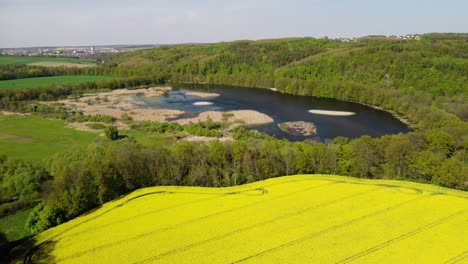 Waldteich-In-Der-Sommernatur-Nezmar,-Tschechische-Republik-4k