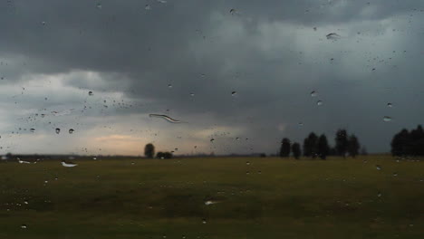 window of a car in the rain