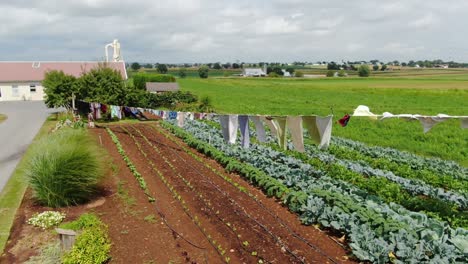 forward aerial dolly shot of amish vegetable garden, laundry drying in the wind, scenic lancaster pennsylvania rural farmland