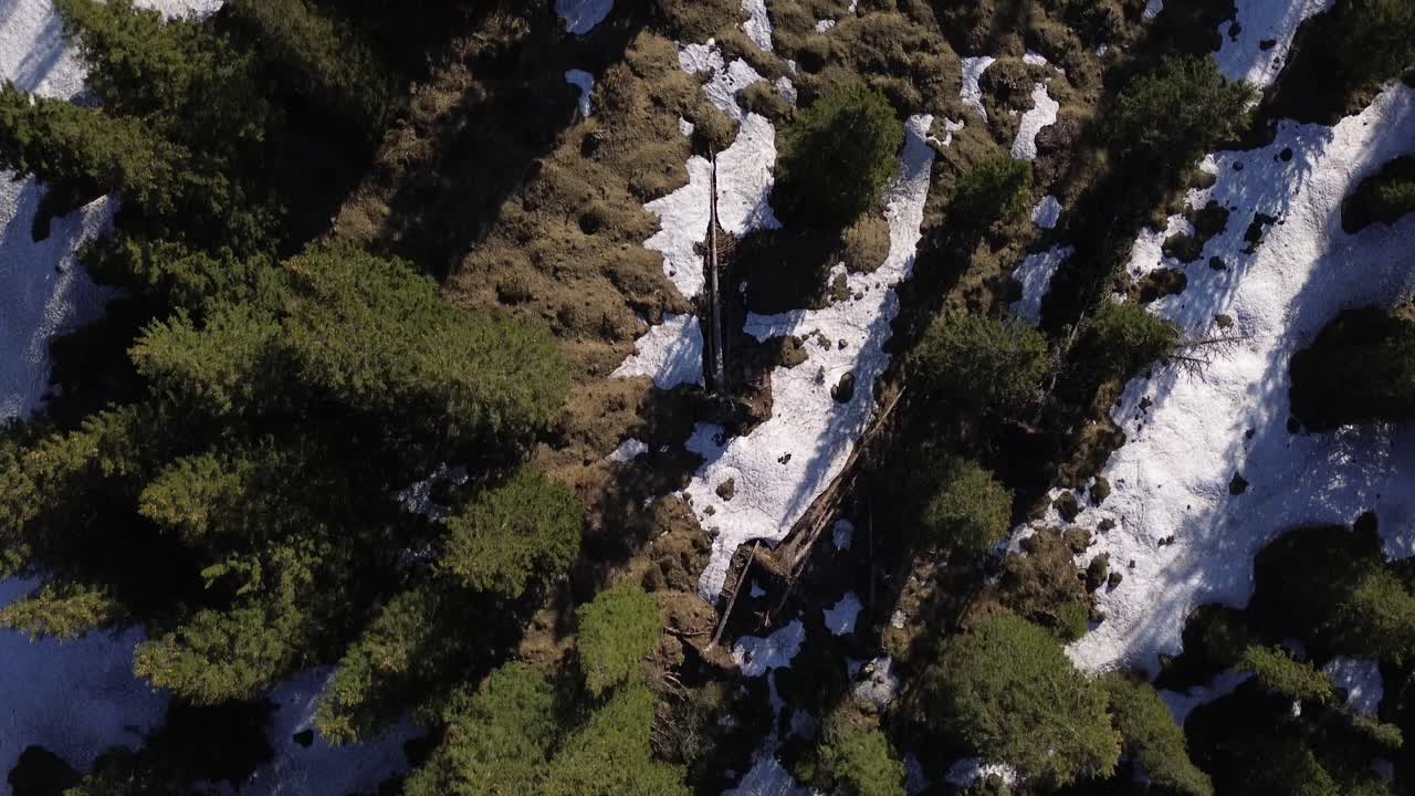 vista aérea de arriba hacia abajo del bosque de pinos en las montañas con nieve, austria, europa
