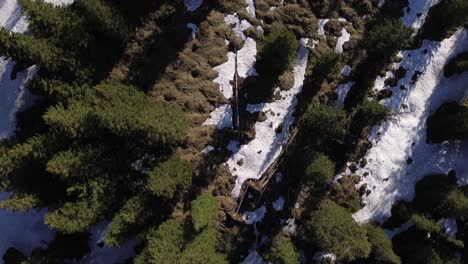 Top-down-Aerial-view-of-Pine-Forest-in-the-Mountains-with-Snow,-Austria,-Europe