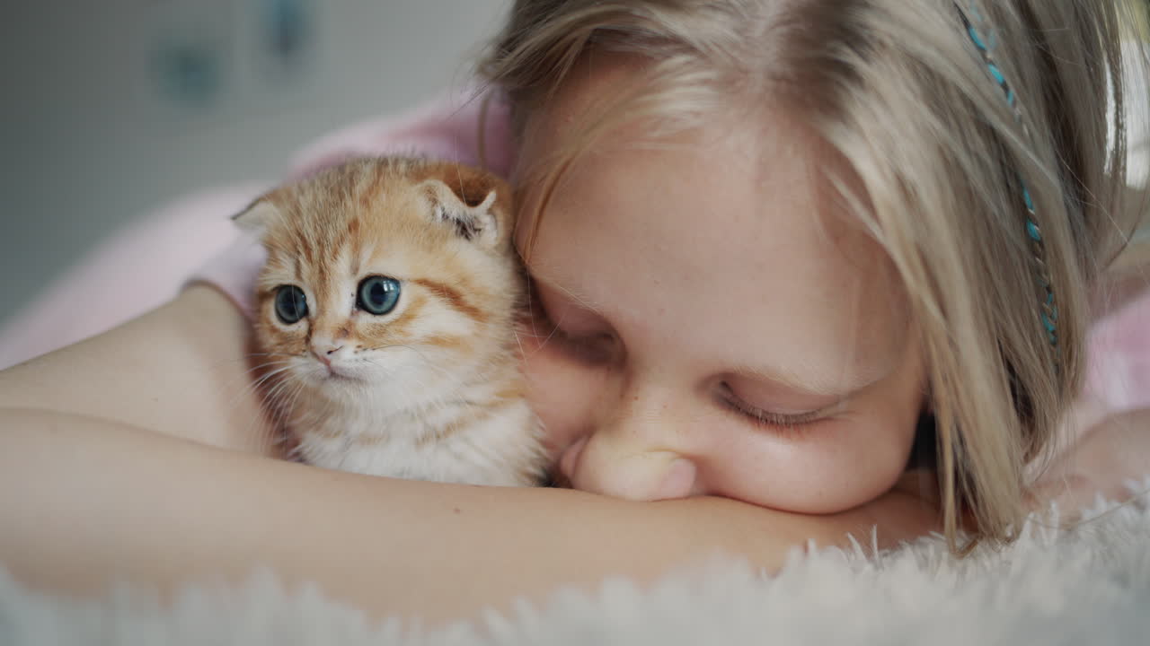 The child presses his cheek against the ginger kitten, the happy owner of the pet