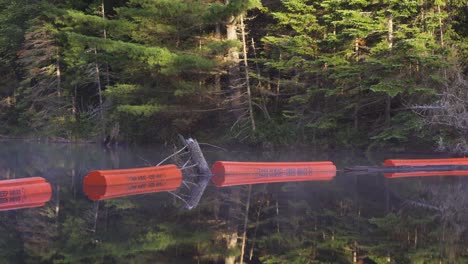 beautiful calm lake at sunrise, natural forest landscape