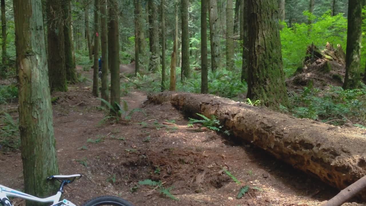 Mountain Biker wearing helmet riding his bike down a wooded dirt trail in a mountain forest setting over fallen log
