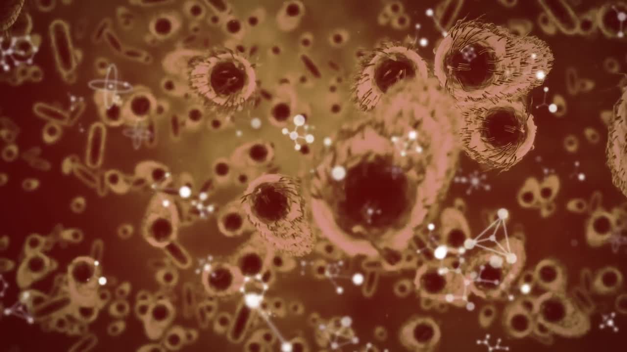 Animation of moving cells over red background
