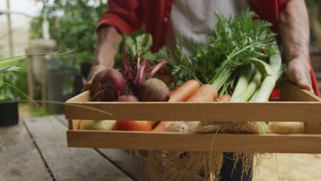 Senior-caucasian-man-walking-with-basket-of-fresh-vegetables-in-garden