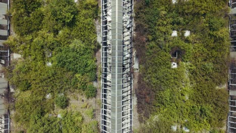 overgrown hospital roof seen from above in zagreb blato district sava river valley