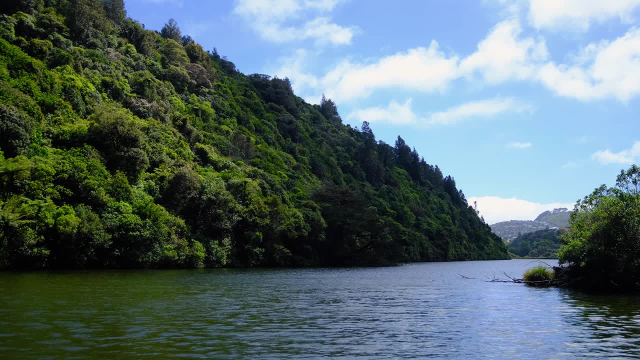 Scenic landscape freshwater lake and dense forest environment in Zealandia, Wellington, New Zealand Aotearoa