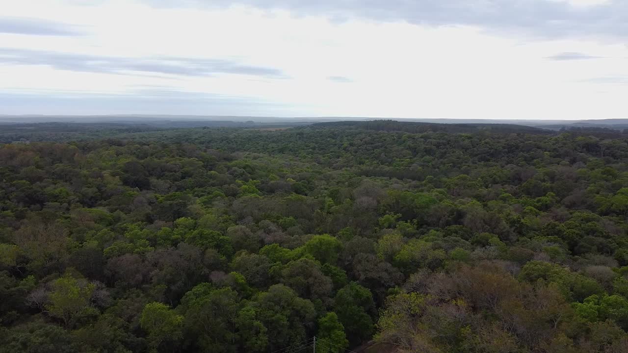 드론 촬영 아르헨티나 산타 아나 숲 정오 오후 파란 하늘 구름 풍경 산타 아나 주변