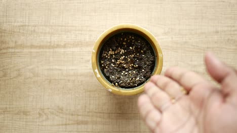 close up of a hand sprinkling seeds into a pot of soil