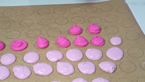 baker using a pastry bag to fill out circular shapes on parchment paper with a different colored shade of pink batter. making of macarons.