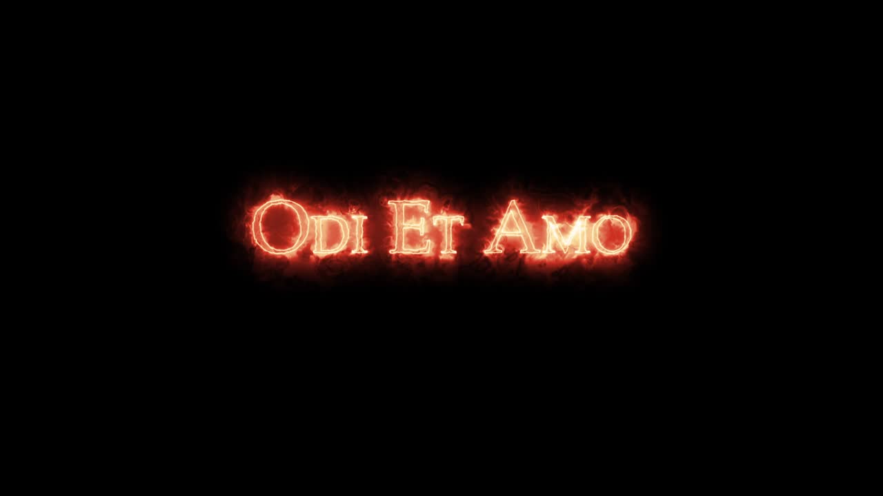 odi et amo escrito con fuego. bucle