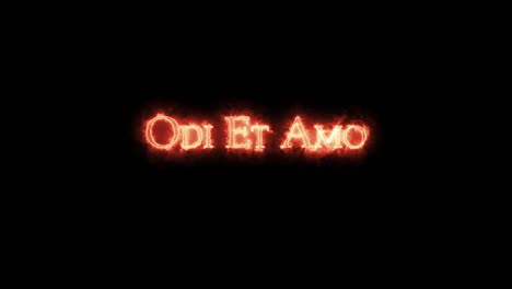 odi et amo escrito con fuego. bucle