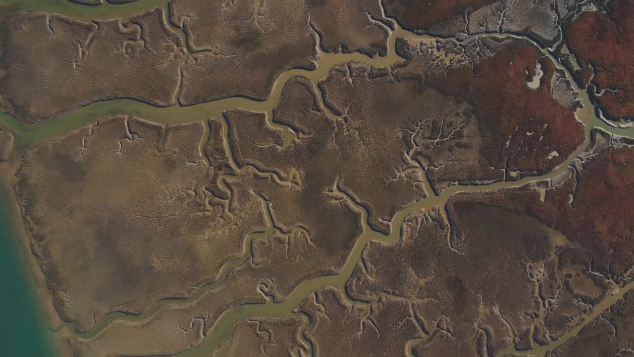 русла рек проходят через болотные отложения, как вены