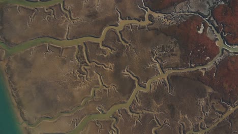 river channels flow through marshland sediment like veins