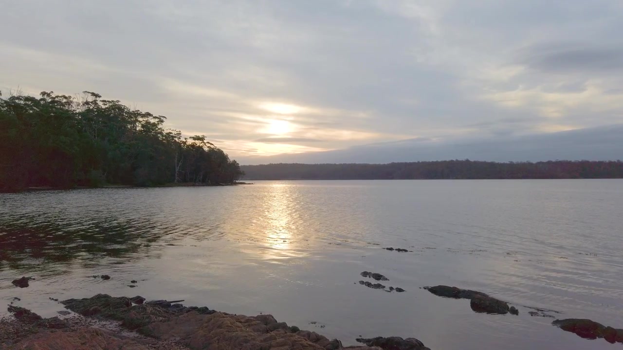 Pôr do sol através de uma floresta densa