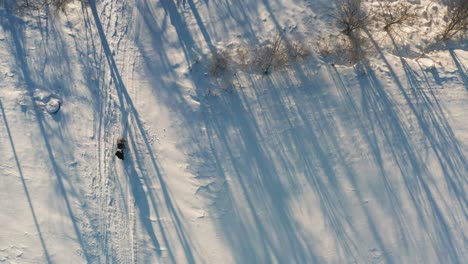 Luftaufnahme-Einer-Person,-Die-Mit-Kinderwagen-Spazieren-Geht,-Langer-Baumschatten,-Winter