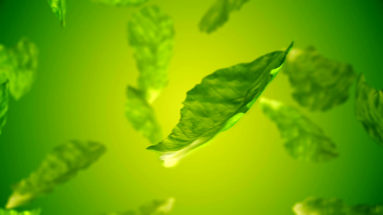 건강한 유기농 러드 회전 및 전환 루마 매트 알파 채널 - 무결 루프 - 스 비디오