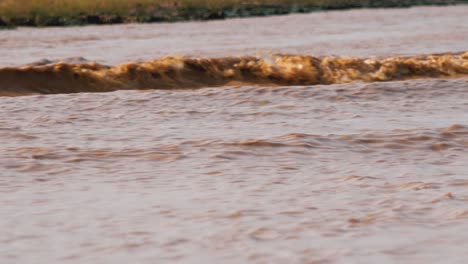 Big-Waves-on-the-River-Surface