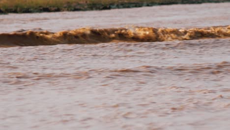 Big Waves on the River Surface