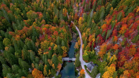 aerial of scenic road through autumn foliage park in the austrian alps, europe