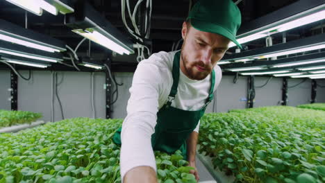 worker inspecting plants in a vertical farm