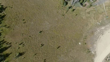 Aerial-bird's-eye-of-field-and-road-in-Colorado