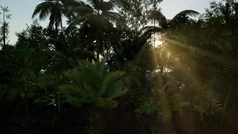los rayos de luz del sol penetran en el denso y exuberante dosel verde