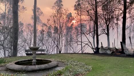 A-red-sun-behind-tall-trees,-surrounded-by-smoke-caused-by-a-wildfire