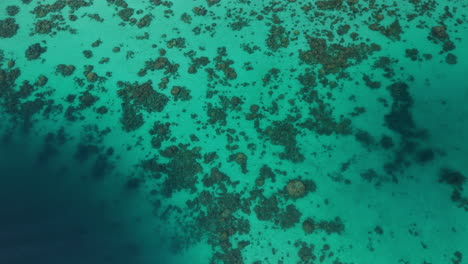 vista aérea del arrecife de coral