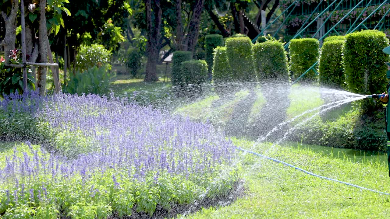 Sprinklers watering vibrant flowers in Bangkok park