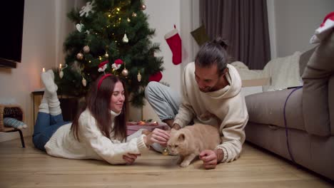 a brunette guy in a white sweater together with his brunette girlfriend in a white sweater are sitting on the floor and playing with their cream-colored cat near a decorated new year's tree in a cozy house with a new year's atmosphere in winter