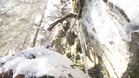 Icicles-and-snow-on-a-rock-and-tree,-sunny-winter-day,-Czechia