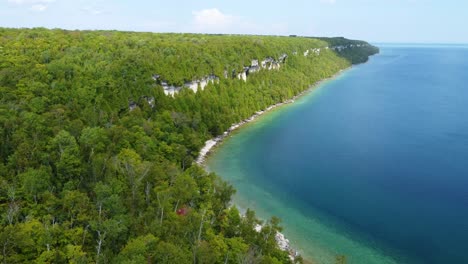 evergreen forest trees at the shore of georgian bay in the bruce peninsula, ontario canada