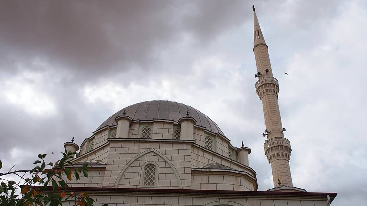 индейка в районе соседней мечети, минарета и мечети с длинным куполом,